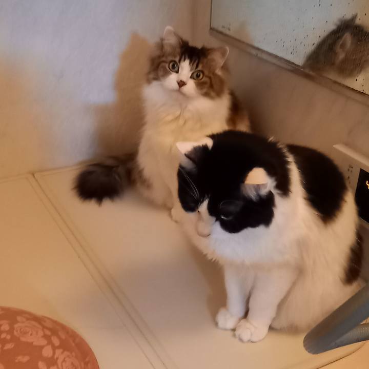 9963acdd e457 469f 8266 861fb386cc64 1643617060531