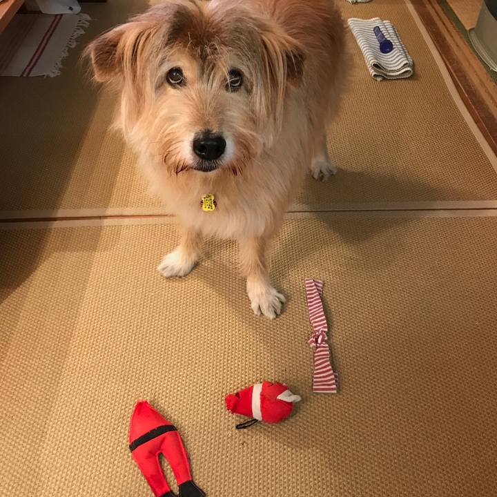 9963d836 2fff 4588 9aeb c36dbd5c4e44 1577198913333