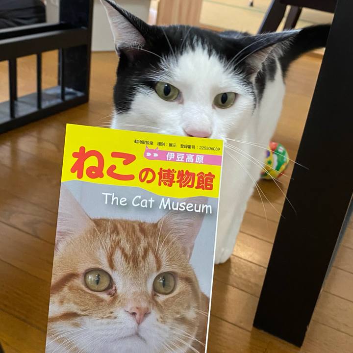 9963eca3 df67 487e abfa 673175ebd265 1650241944566