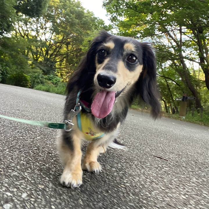 9964077d 015f 4b85 b96d 5bdfb58fc491 1754265044222