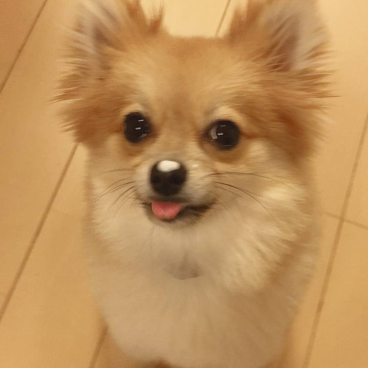 99643e2b 9110 4faf baca 5b969901a5cb 1522064727225