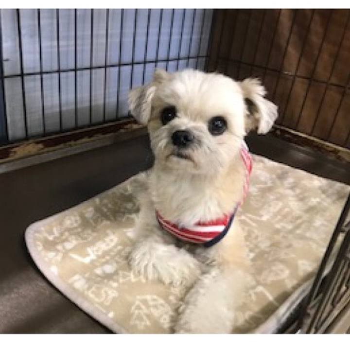 9964491d 4731 43f5 beff b0b7f3afeb9e 1554986743856