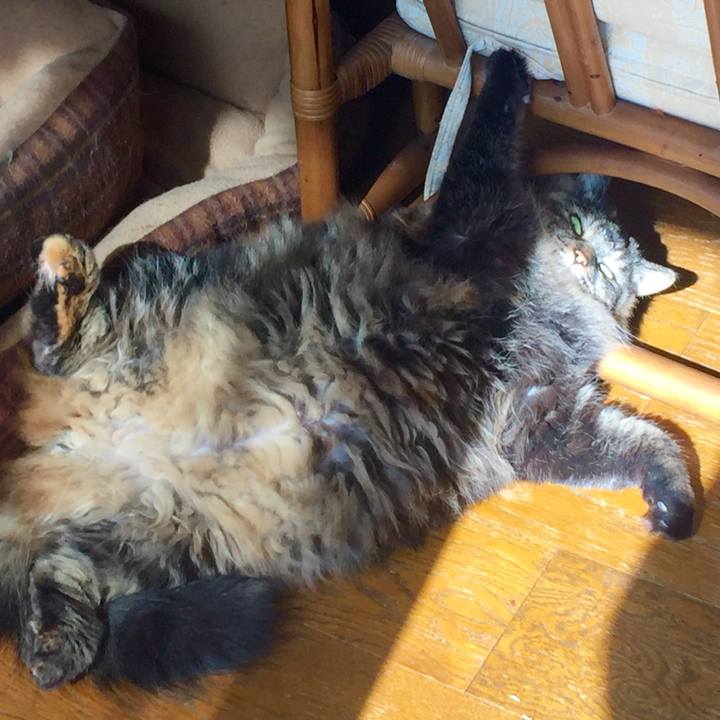 99645b45 4b6e 41cd b87a eaa00da2327b 1568535354076