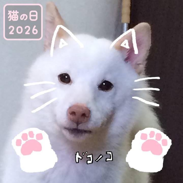 9964669d e81c 4e07 bb82 0aeebf79be81 1771766774352