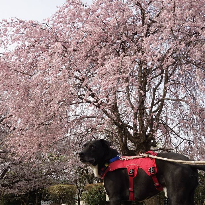 99646aaf d51e 4dac 89c8 c5084bceaa97 1680232660042