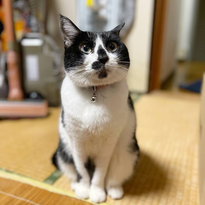 99649778 11ba 48ca a62b 858d17de4218 1767739906885