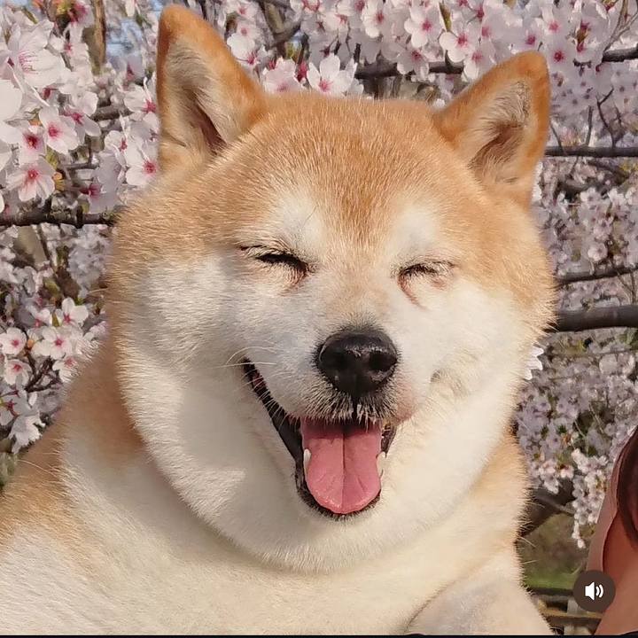 9964978e 48d4 41f8 ab09 9783fcaf1b6d 1725118056996