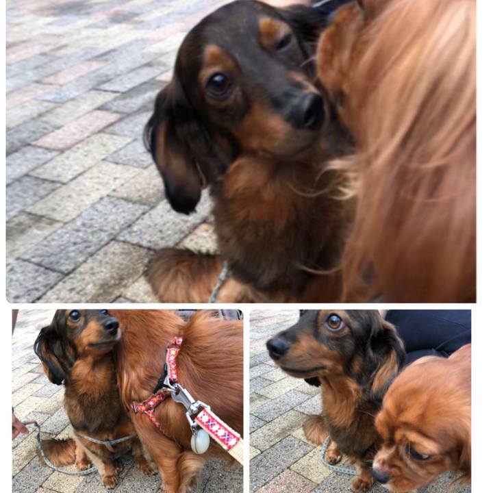 99649fab ea9d 4def 9073 2f0698c4c2c2 1538823362605