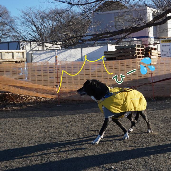 9964cb36 3ee5 48d1 bd10 449f611d0392 1768178690729