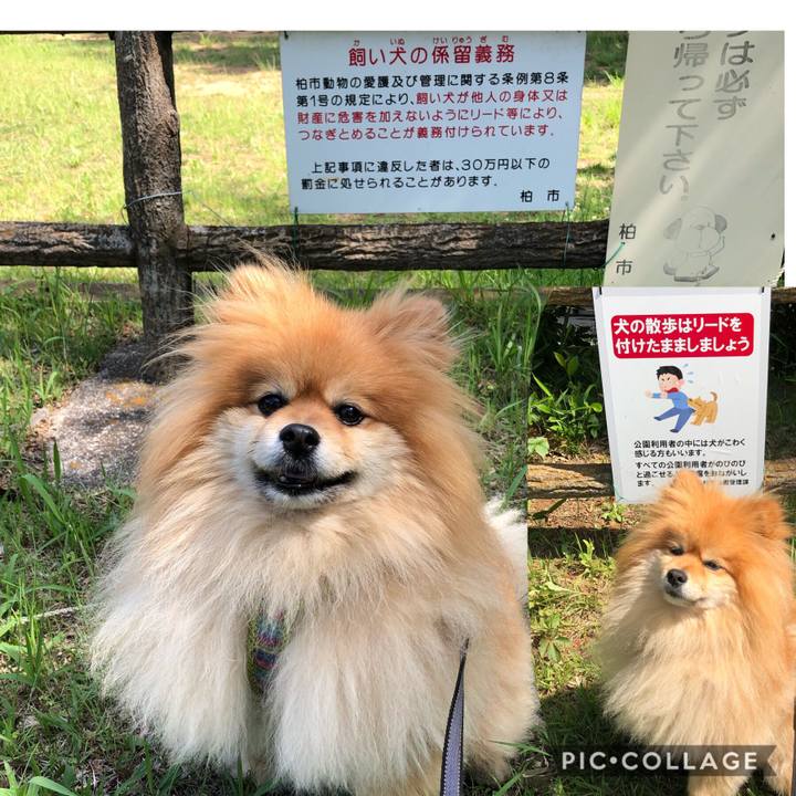 9964ecde a02e 436e a7d2 4da6a710097c 1558057129403