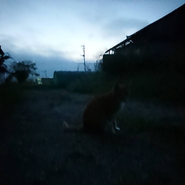 996531b2 5cfe 4af8 8307 d3309b84fe15 1600285883086