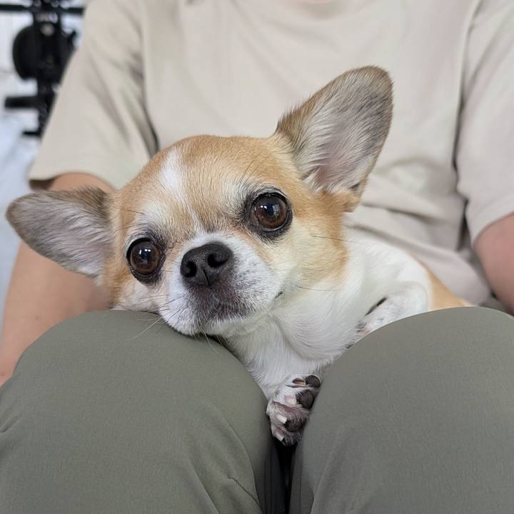 9965888b 102b 420b b357 e19f25359226 1752392588442