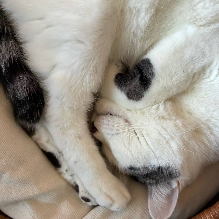 996594cf 2e22 4610 ab51 9403d9354f60 1764370229825