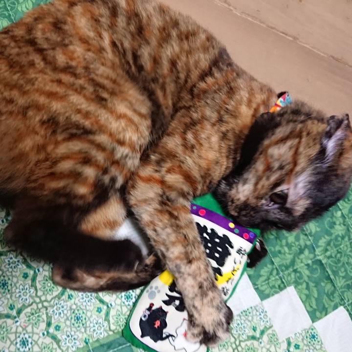 9965b31d bf7e 43df 828c 332c176fe876 1550653779684