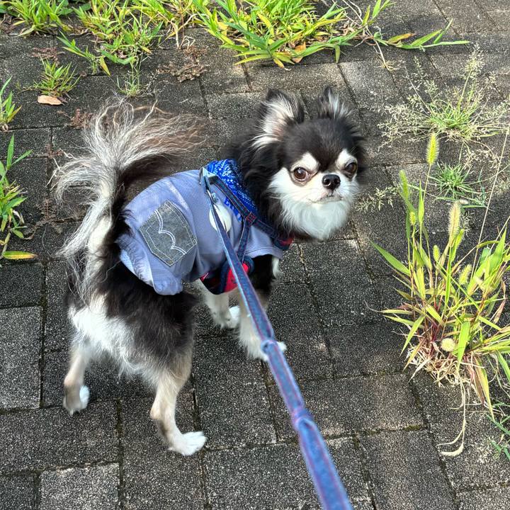 9965cc7e 8eb8 4015 9770 9e3c59927a2f 1723305162512