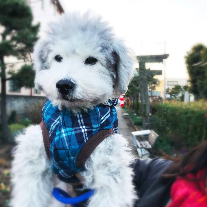 9965e412 d596 48c3 8d45 37b3e356489e 1546333962940