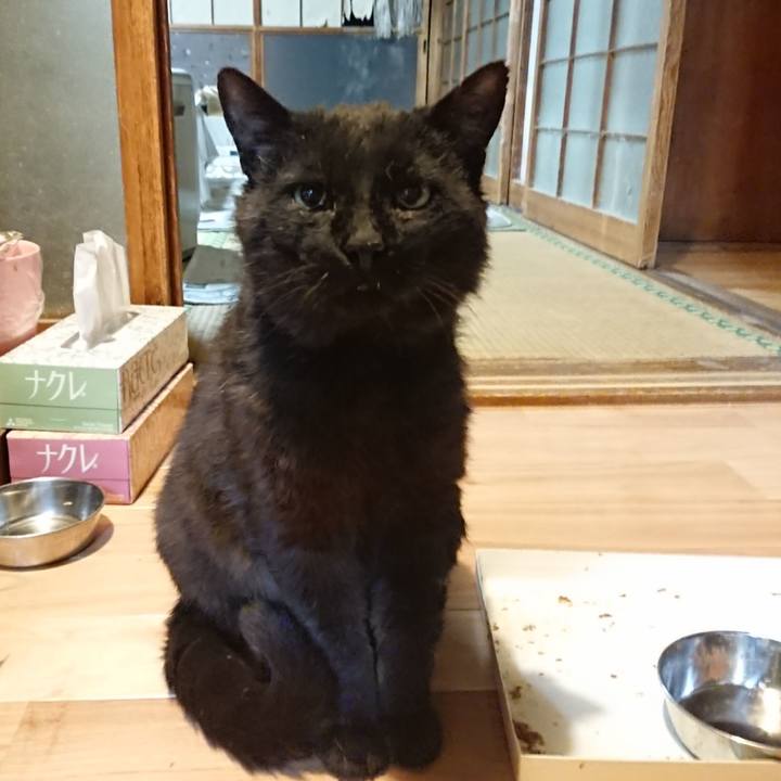 9965f266 0f7a 416a acc4 608431336008 1622549631563