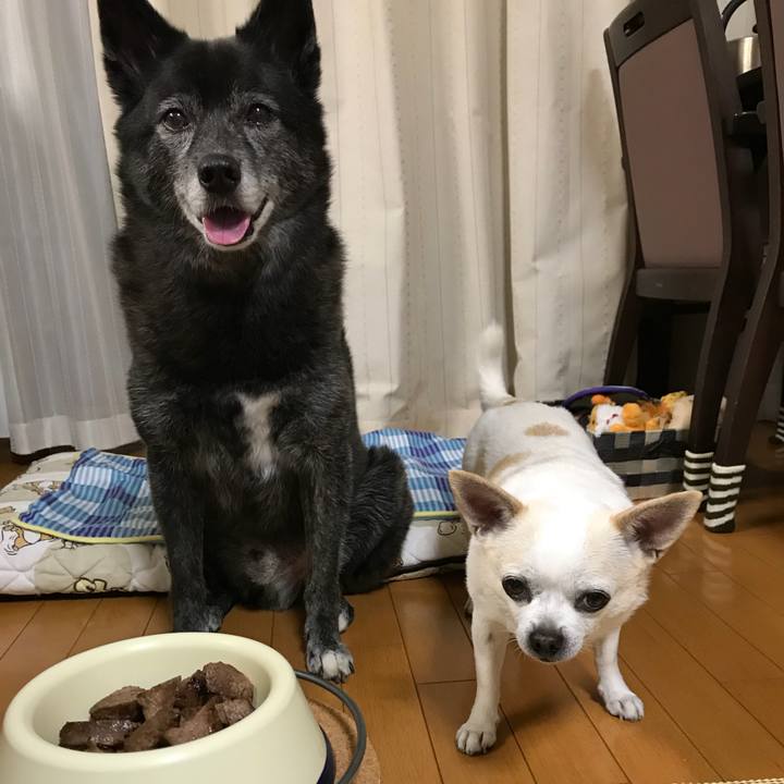 996617fa 5c4a 4cf4 b675 59ccfc67d50d 1528975649903