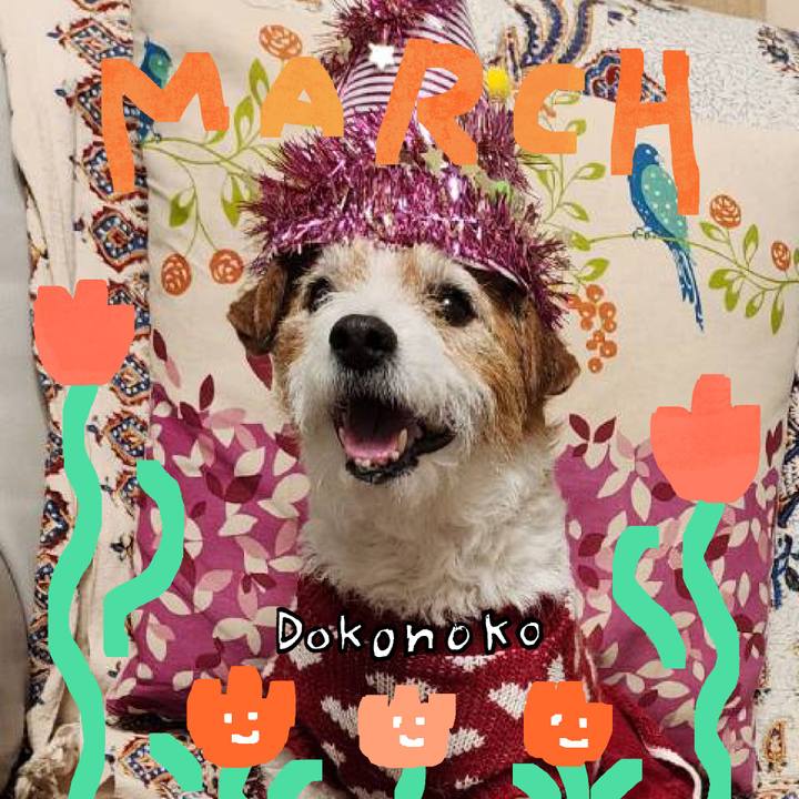 99661f05 df27 4caf bb9d 940804454e82 1741059889836