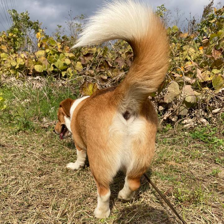 99664783 f37a 4cd6 b4af 63985d2d04e1 1637034437697