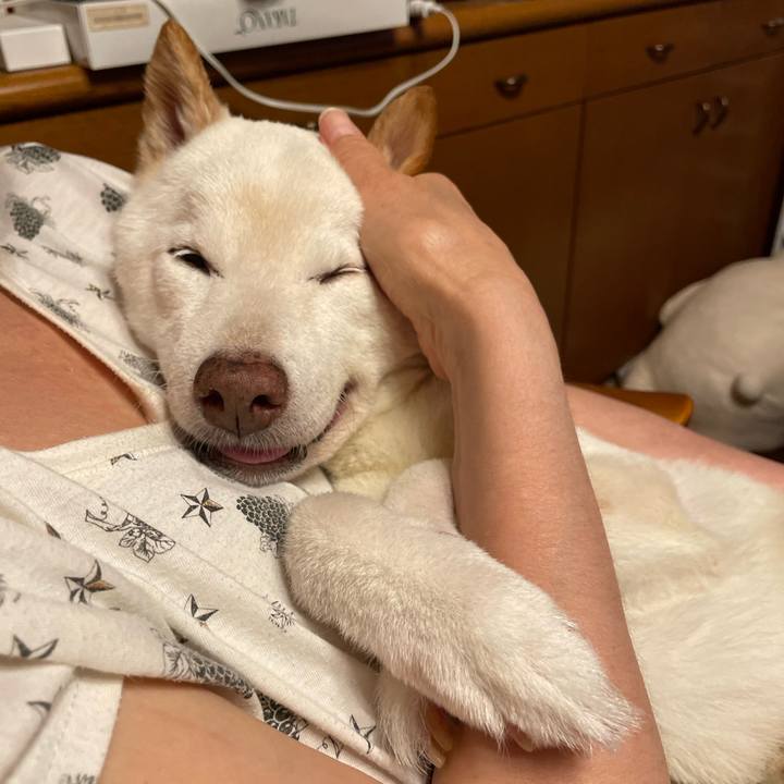 9966826c ec39 49e6 a576 22146bfecd03 1661094580035