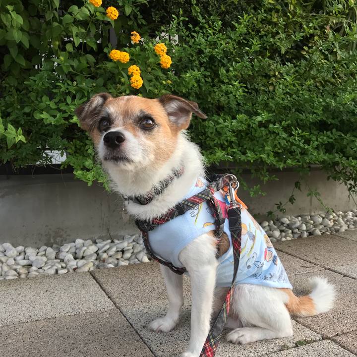 9966b45b 0052 42b7 ad92 7bc45f0f933a 1565047635989