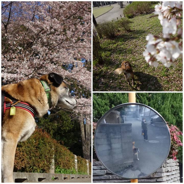 9966d577 827b 4d8e b23a 8dbc4eaf7dac 1660955897051