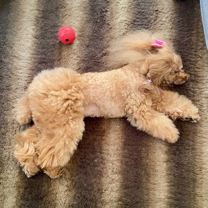 9966d7fe 5a6d 4cbf 804c d77e7f4b5476 1763174144300