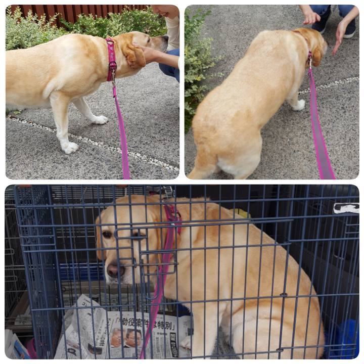 9966fcf2 d974 4069 b767 5e4769dc63ee 1571380489306