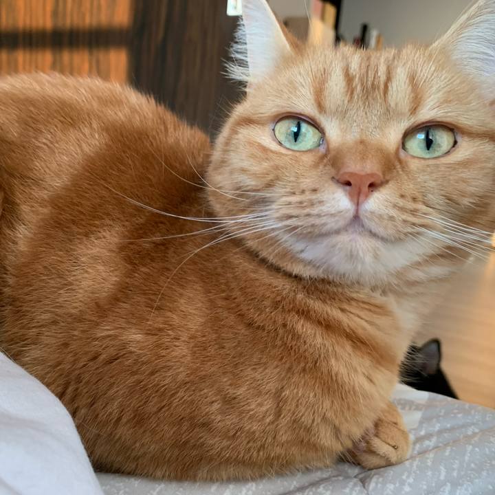 99674c96 7075 4768 9daf 87f28036cb76 1654817055191