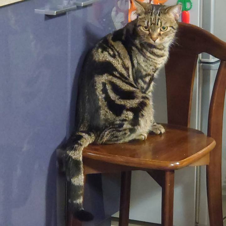 99675015 ab6d 4289 9d80 4ddd15fd7a98 1634901811641