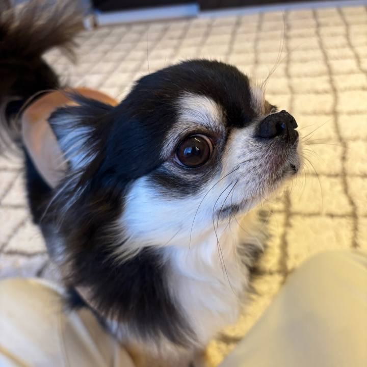 99679db9 8c68 484d acff ff3ba71d8319 1742746943110