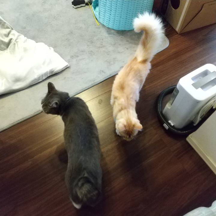 9967bd19 2843 438d be96 49cc9d55e1aa 1615845105308