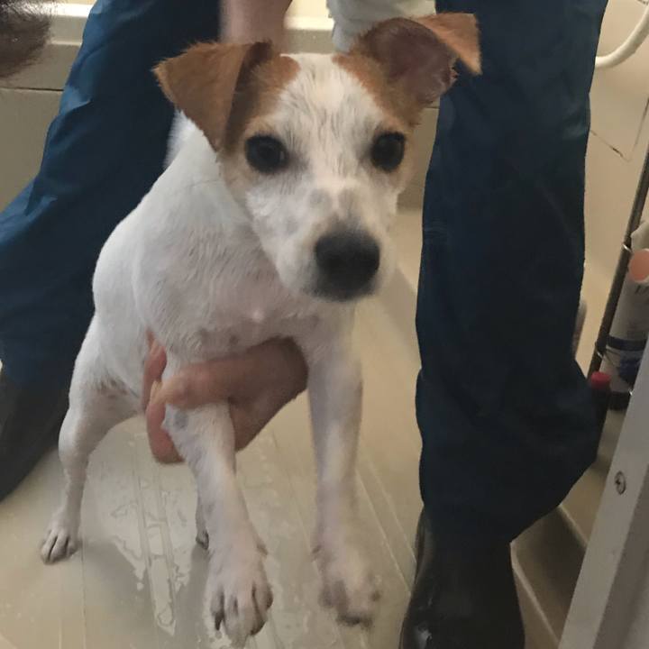 9967d4b0 fc5b 4a41 8c5f e1954ce4b115 1573088579037