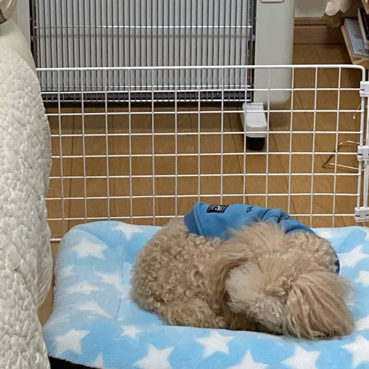 9967e909 1b17 4b85 a5f7 dd8d11fcddec 1674621280042