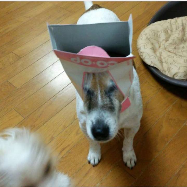 9968b351 5c42 4c77 af4b a59c6914ba5d 1659230493332