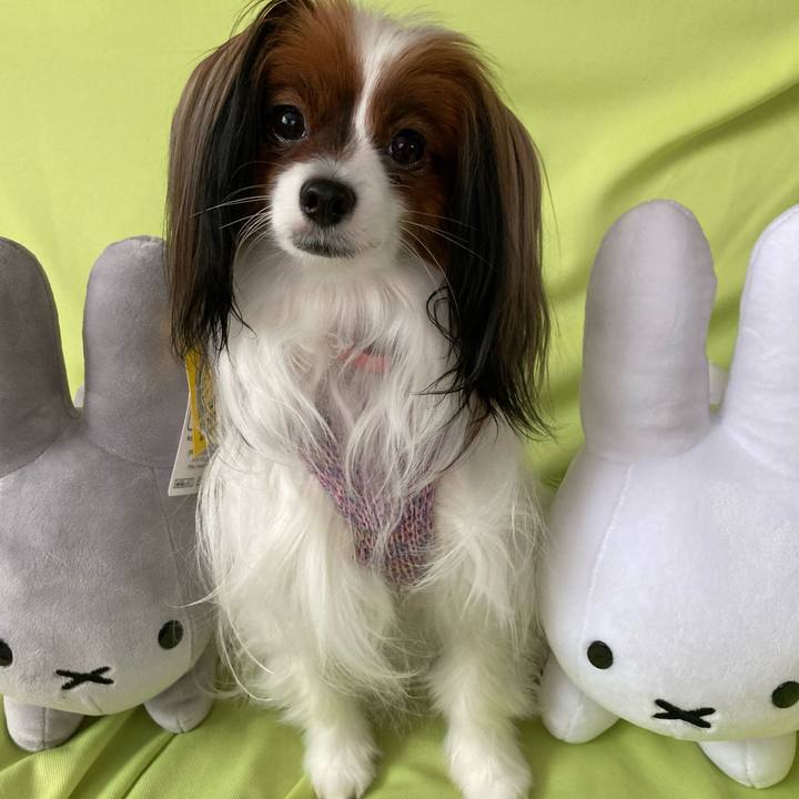 9968d6f9 d3e1 4e99 95c7 8e513b42ccbf 1644894939638