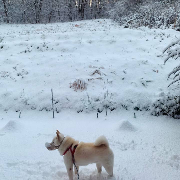 9968f91e 18a0 4a37 b95f 27ffe720c278 1604959989808