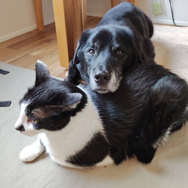 99690953 4d01 47b0 8a14 cdaa6b73e21d 1774483178862