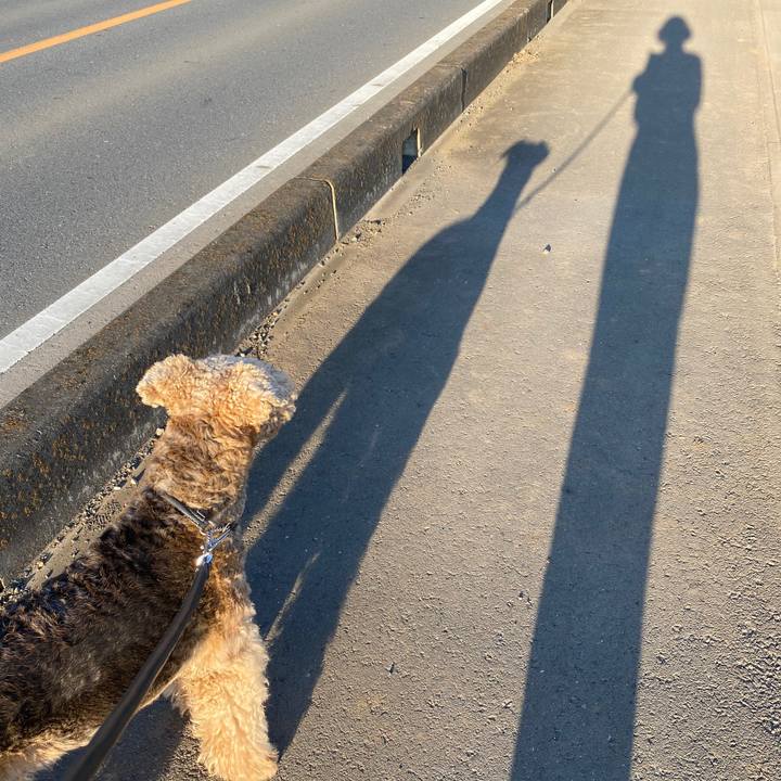 9969456e 416f 4c7a 8f52 ad2ea34e1211 1605351766948