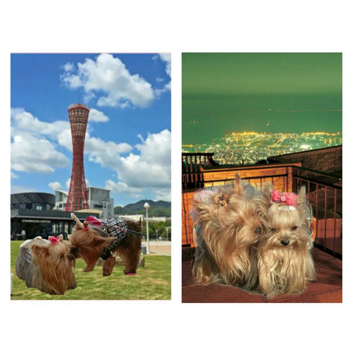 996955b3 9a1c 4279 87b1 ee03d1355904 1534818710875