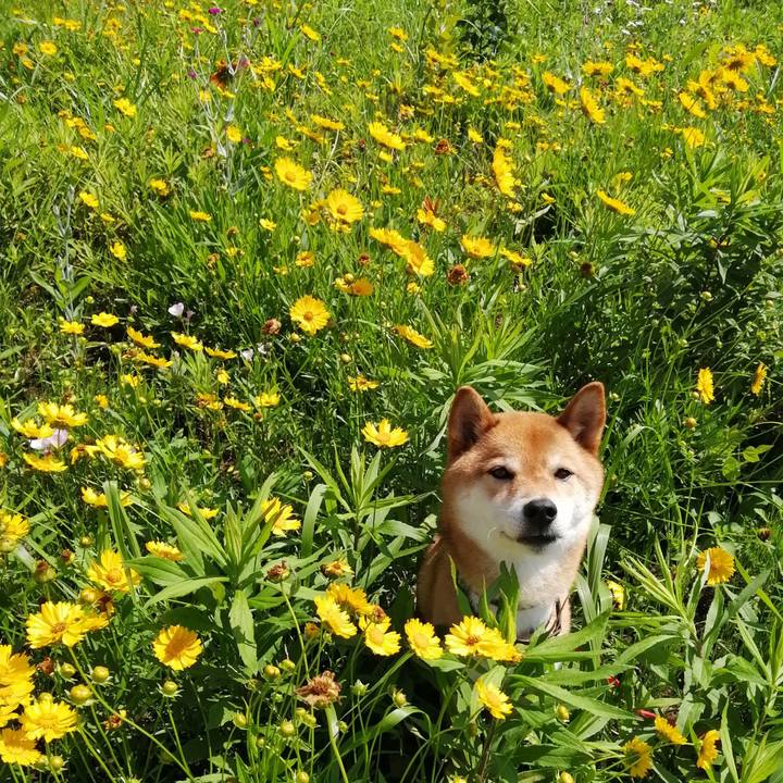 99695746 ffda 4b8f a818 0a731fdf2265 1592357406553