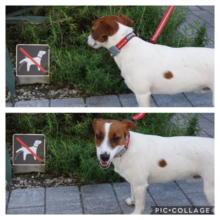 996962cd 421f 41dd a663 d040ae2c407d 1526202845283