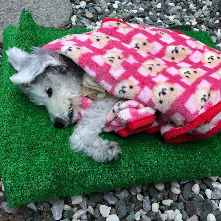 99697d27 8cfe 4713 9871 fd225dc9a536 1669854562781