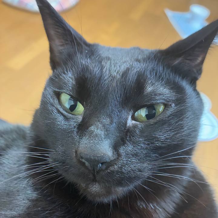 99697d3d f817 4701 a4dd c641cff10fca 1767230966203