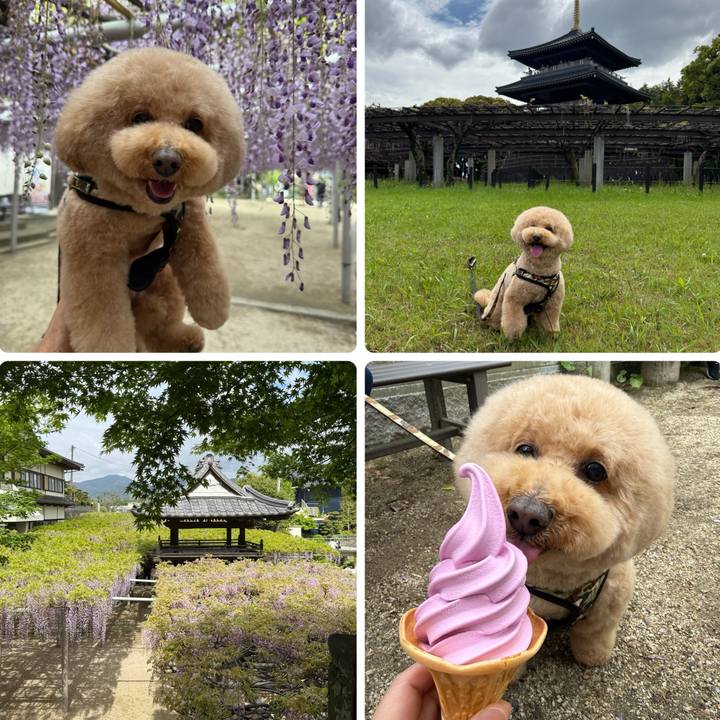 99699f52 2432 4c00 a1a1 f1cd40a6c710 1776578684845