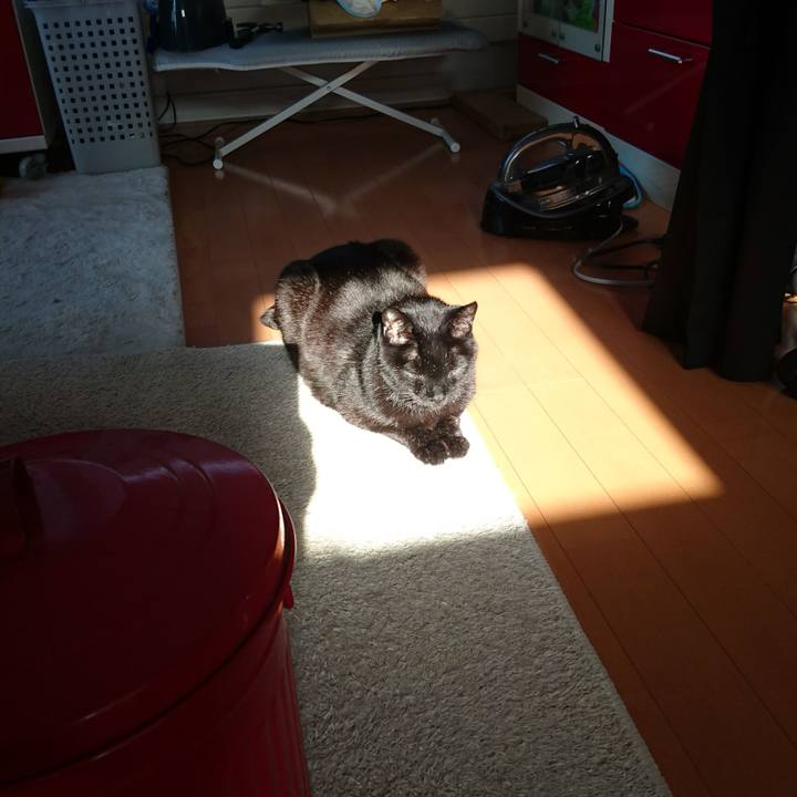 9969b94e 8777 4cf8 beac 12bfe1862dca 1555923404761