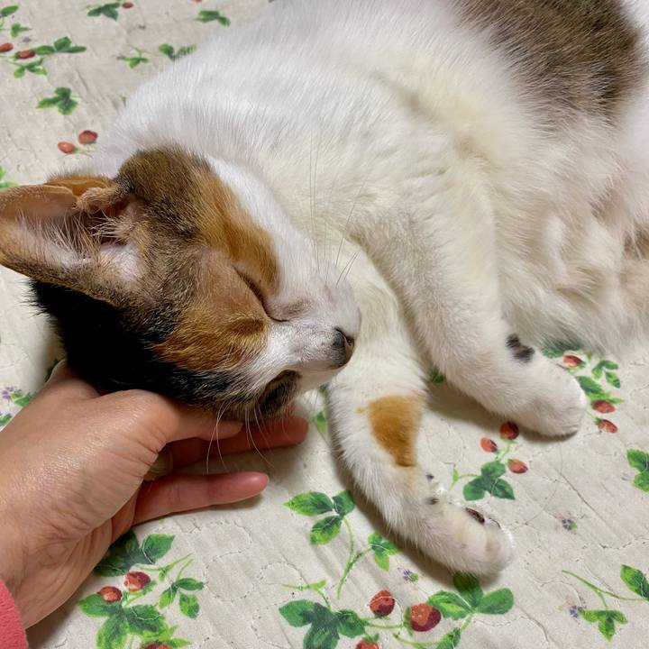 9969bdf4 894b 4324 9d3e 4729592b8c1e 1607782663909