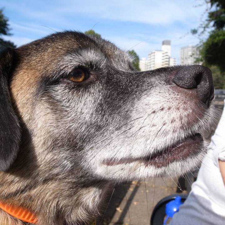 9969c216 1177 441a a9d1 6d475f76709d 1591094888436