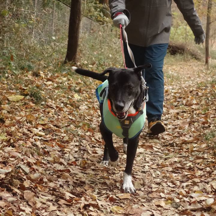 9969c548 afc0 4de7 b426 26fa8ec241f3 1734049640373